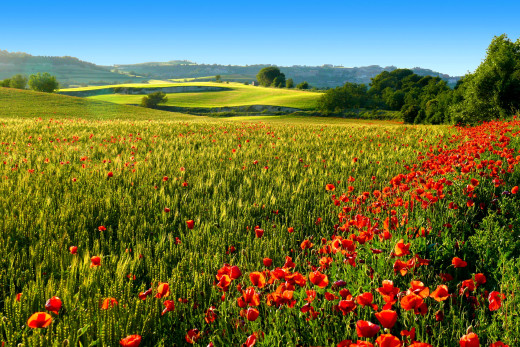645983 (a): :1920x1280